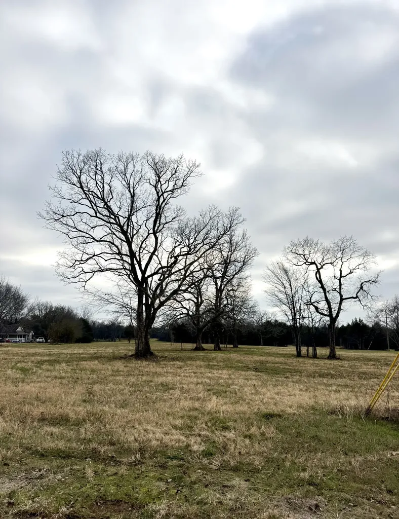 0 Vesta Road Lebanon TN 37090