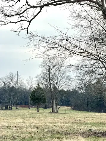 0 Vesta Road Lebanon TN 37090