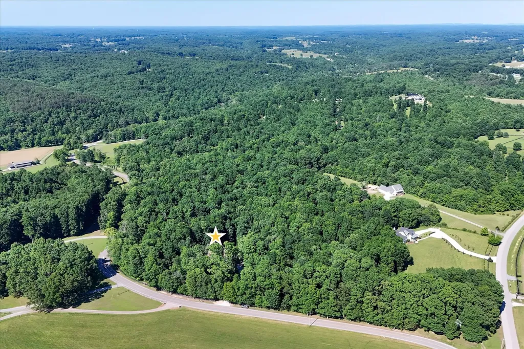 7865 Barnhill Road Primm Springs TN 38476