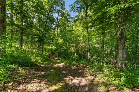 7865 Barnhill Road Primm Springs TN 38476