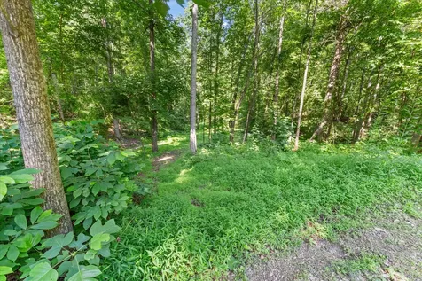 7865 Barnhill Road Primm Springs TN 38476