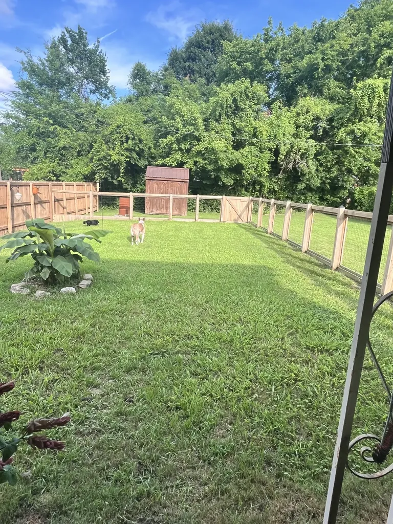 108 Greenwood Street Mount Pleasant TN 38474