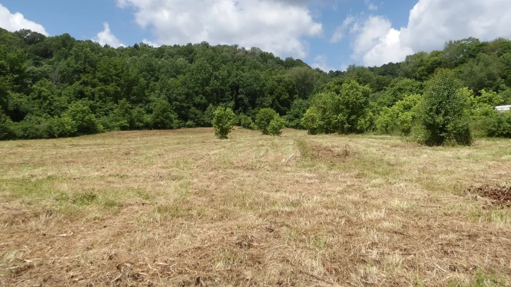 0 Lonnie Reecer Road Celina TN 38551