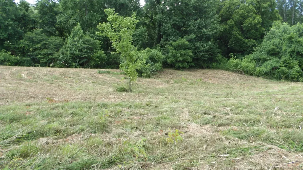 0 Lonnie Reecer Road Celina TN 38551