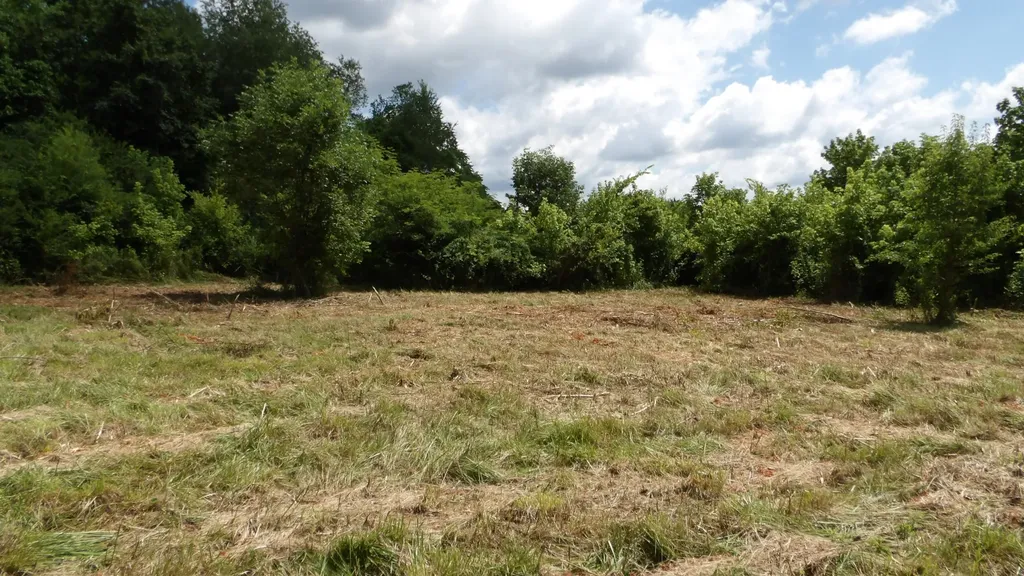 0 Lonnie Reecer Road Celina TN 38551