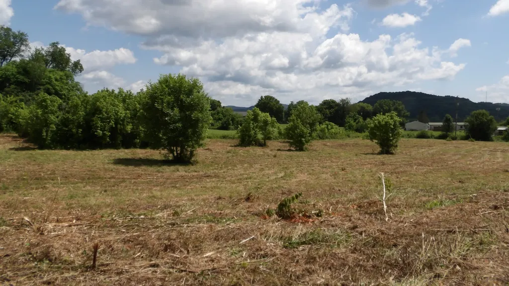 0 Lonnie Reecer Road Celina TN 38551