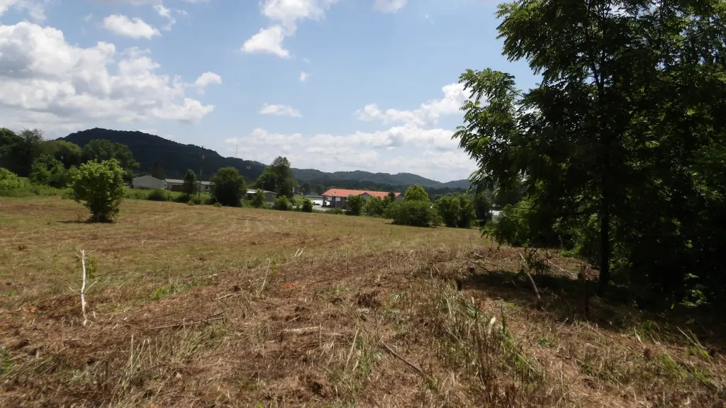 0 Lonnie Reecer Road Celina TN 38551