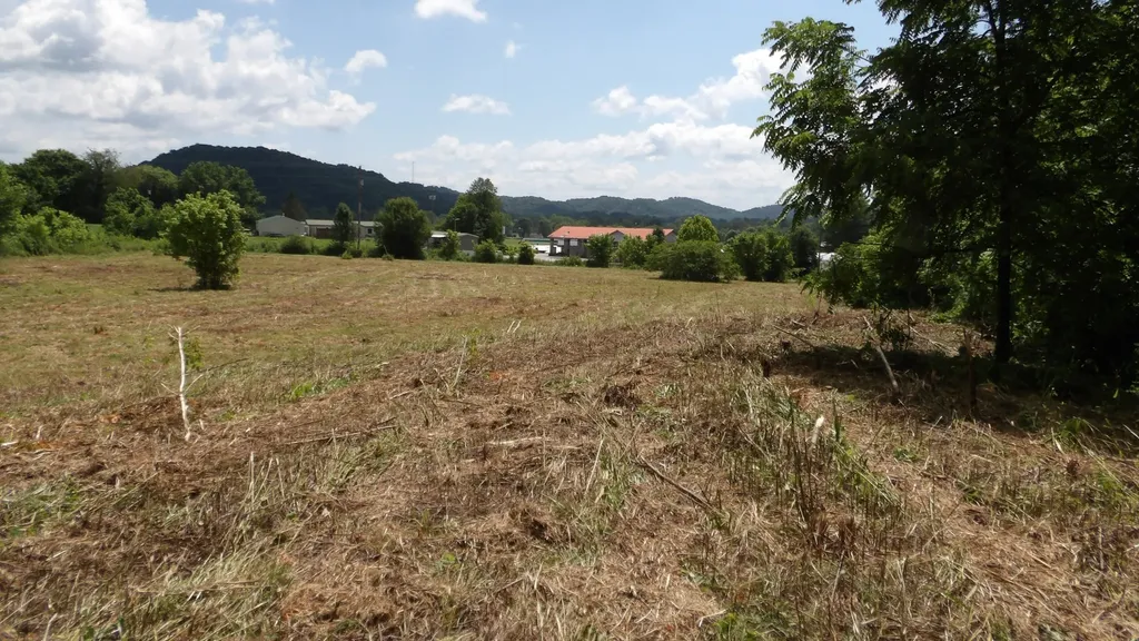 0 Lonnie Reecer Road Celina TN 38551