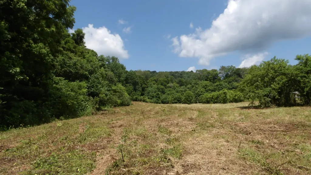 0 Lonnie Reecer Road Celina TN 38551