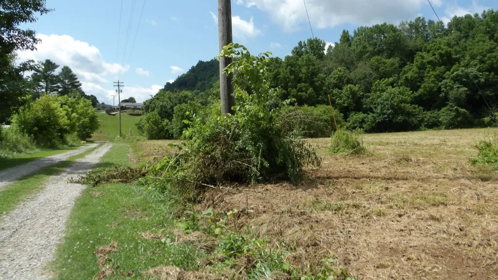 0 Lonnie Reecer Road Celina TN 38551