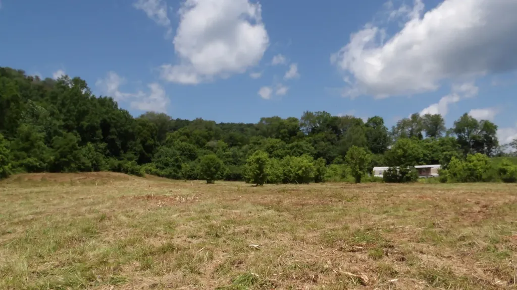 0 Lonnie Reecer Road Celina TN 38551
