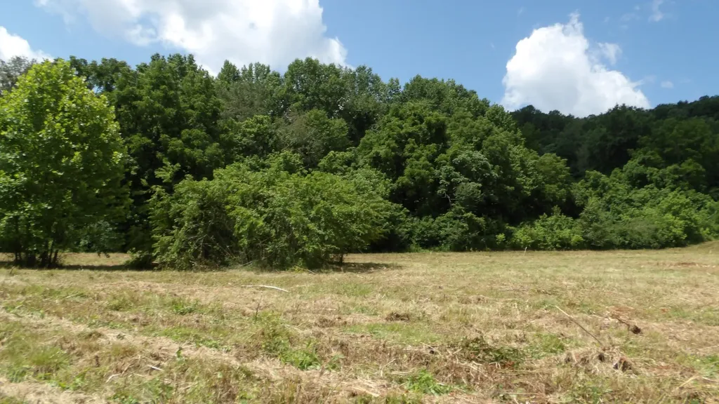 0 Lonnie Reecer Road Celina TN 38551
