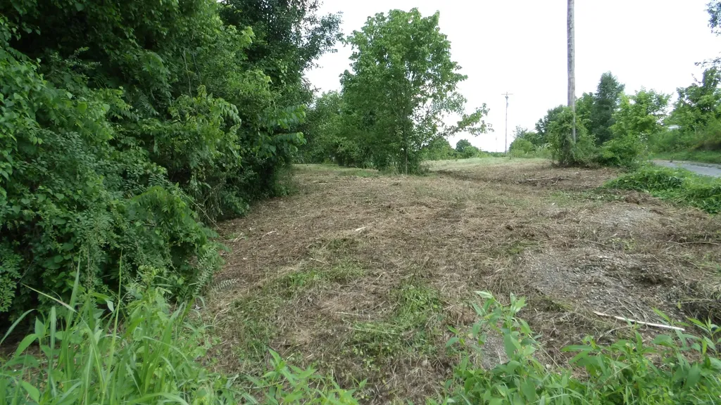 0 Lonnie Reecer Road Celina TN 38551
