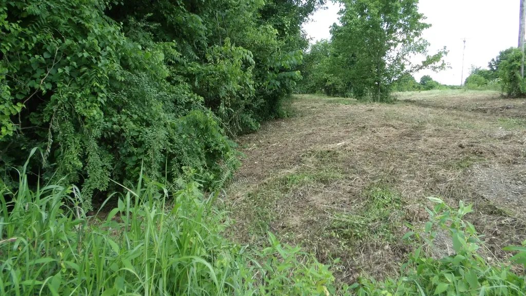 0 Lonnie Reecer Road Celina TN 38551