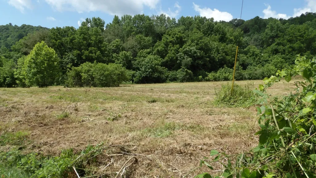0 Lonnie Reecer Road Celina TN 38551