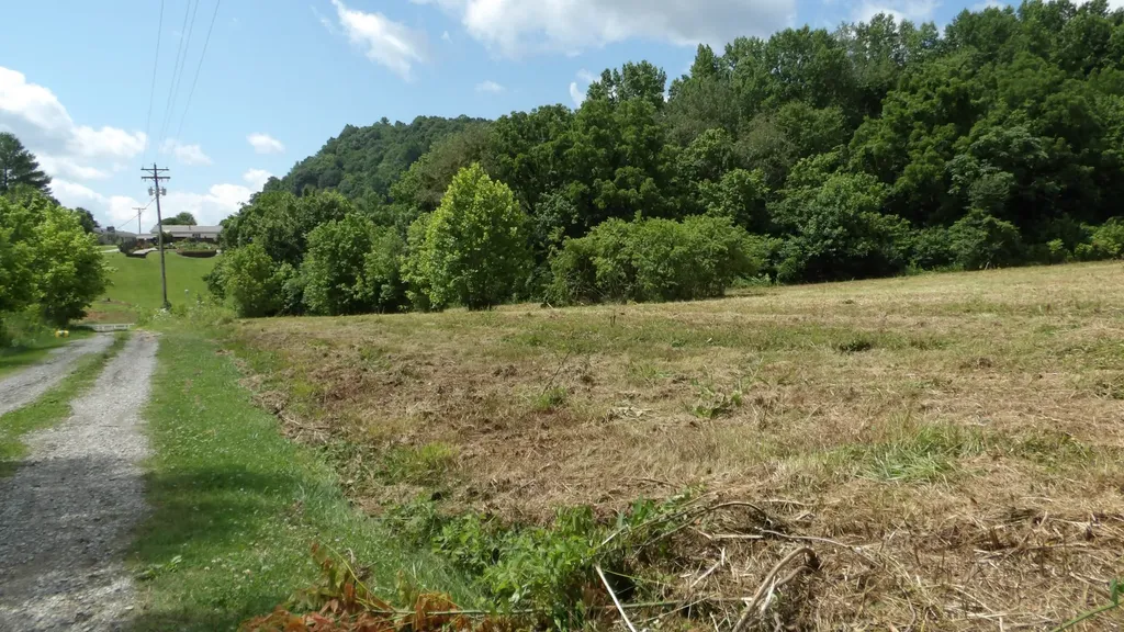 0 Lonnie Reecer Road Celina TN 38551