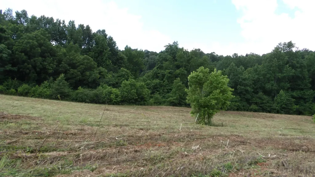 0 Lonnie Reecer Road Celina TN 38551