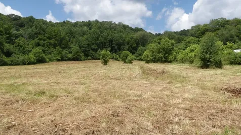 0 Lonnie Reecer Road Celina TN 38551