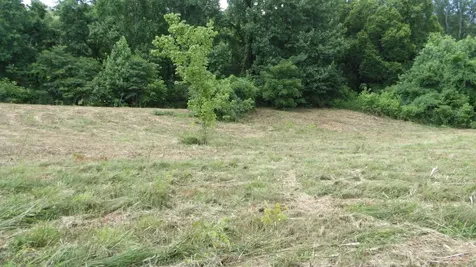 0 Lonnie Reecer Road Celina TN 38551