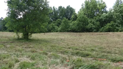 0 Lonnie Reecer Road Celina TN 38551