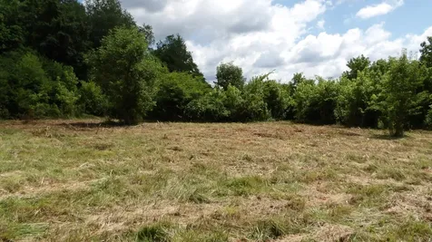 0 Lonnie Reecer Road Celina TN 38551