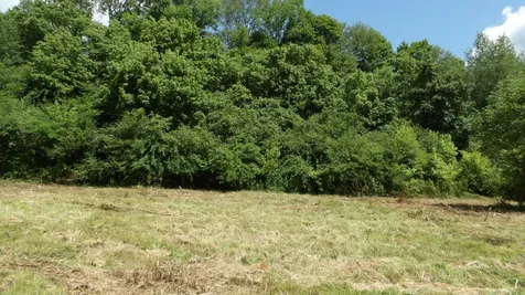 0 Lonnie Reecer Road Celina TN 38551