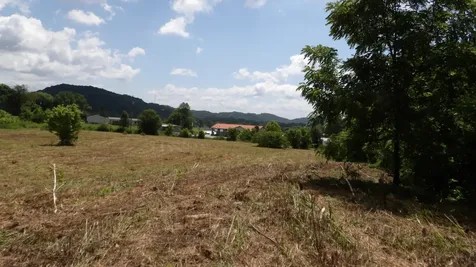 0 Lonnie Reecer Road Celina TN 38551