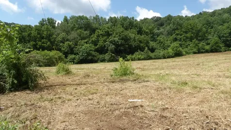 0 Lonnie Reecer Road Celina TN 38551