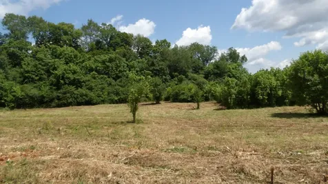 0 Lonnie Reecer Road Celina TN 38551