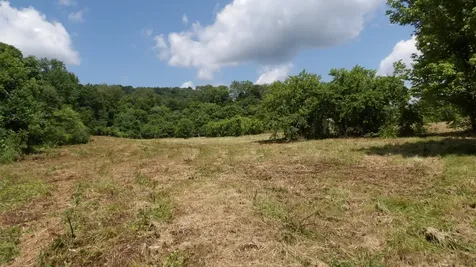 0 Lonnie Reecer Road Celina TN 38551