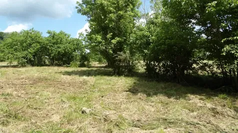 0 Lonnie Reecer Road Celina TN 38551