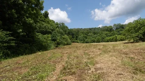 0 Lonnie Reecer Road Celina TN 38551
