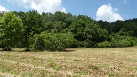 0 Lonnie Reecer Road Celina TN 38551