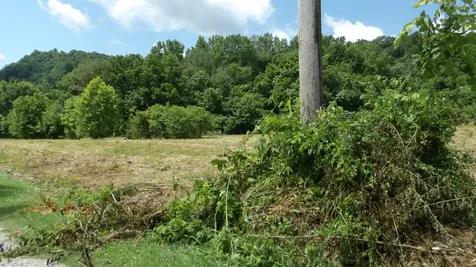 0 Lonnie Reecer Road Celina TN 38551