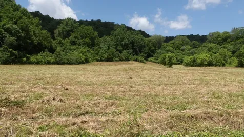 0 Lonnie Reecer Road Celina TN 38551