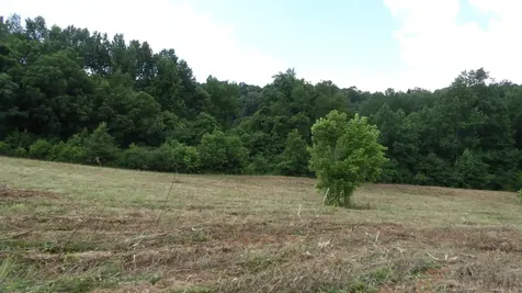0 Lonnie Reecer Road Celina TN 38551