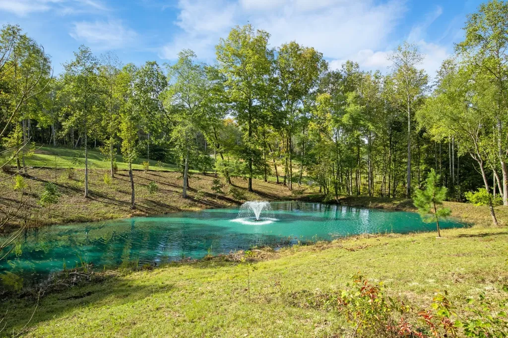 6057 Stone Cliff Lane Franklin TN 37064