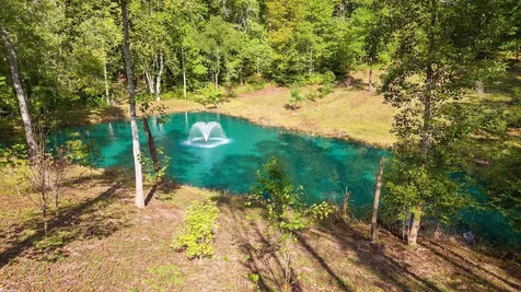 6057 Stone Cliff Lane Franklin TN 37064