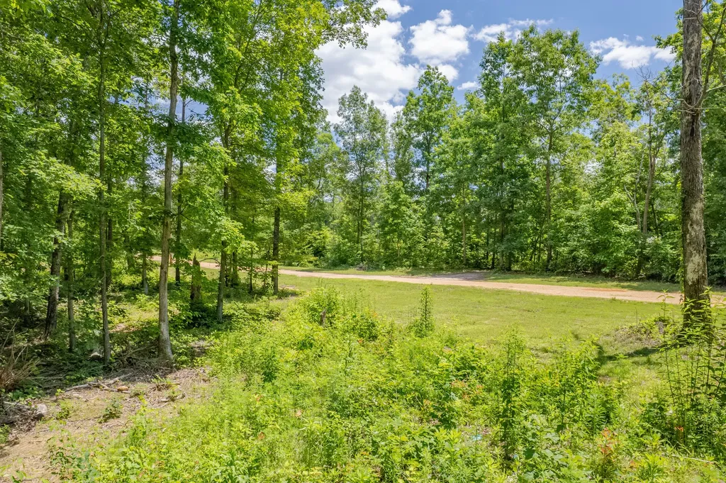 6126 Calvin Potts Road Primm Springs TN 38476