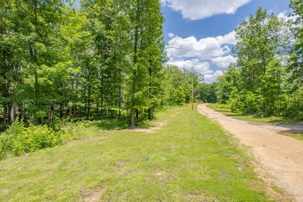 6126 Calvin Potts Road Primm Springs TN 38476