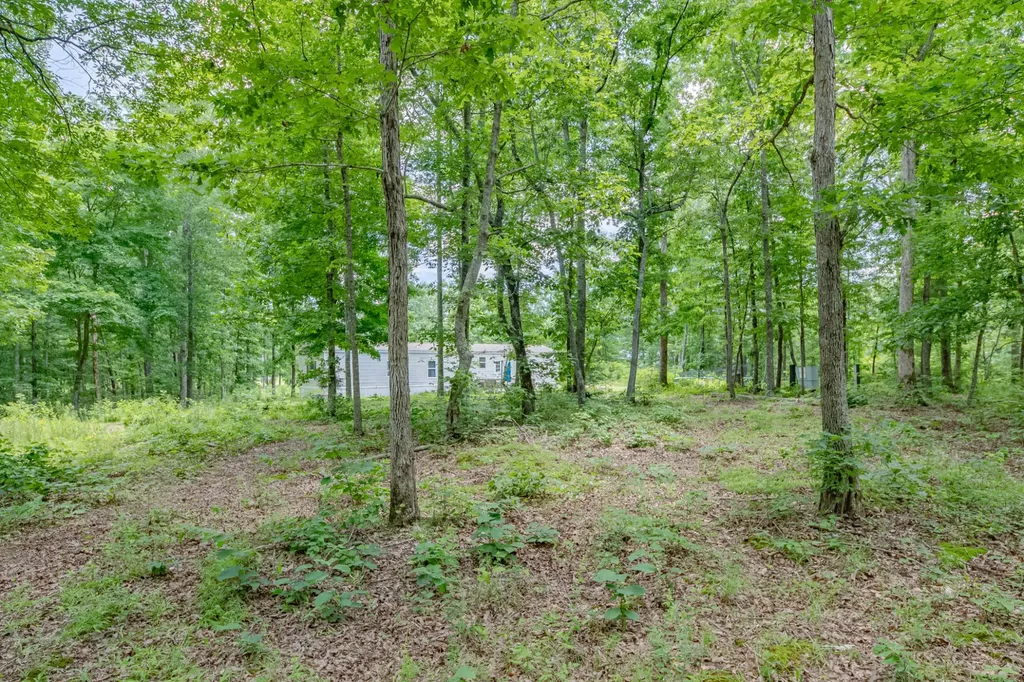 6126 Calvin Potts Road Primm Springs TN 38476