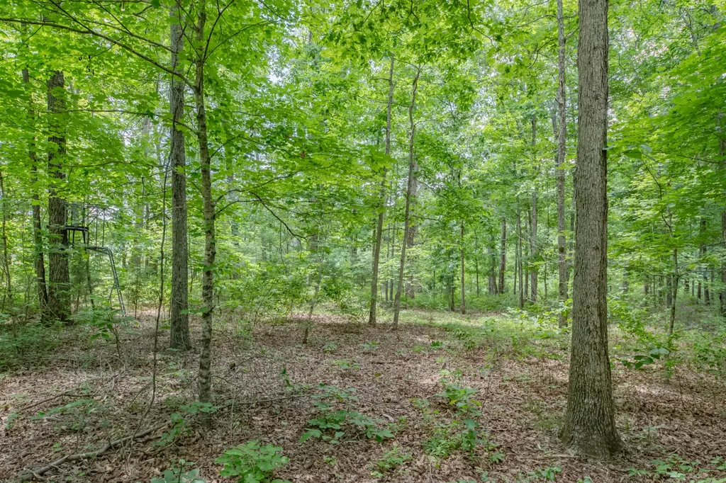 6126 Calvin Potts Road Primm Springs TN 38476