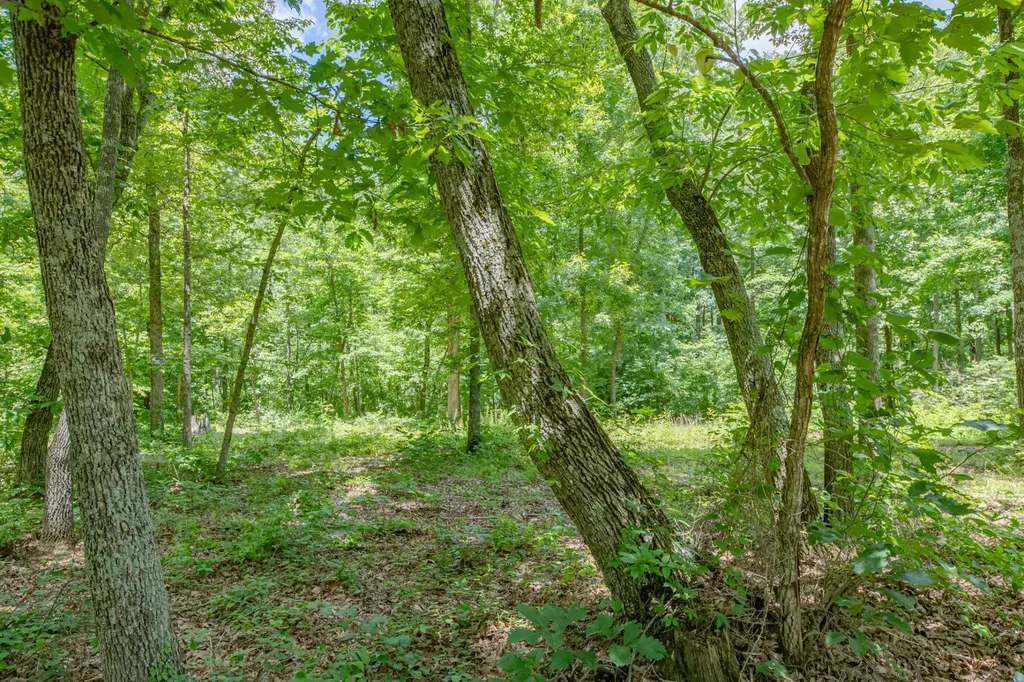 6126 Calvin Potts Road Primm Springs TN 38476