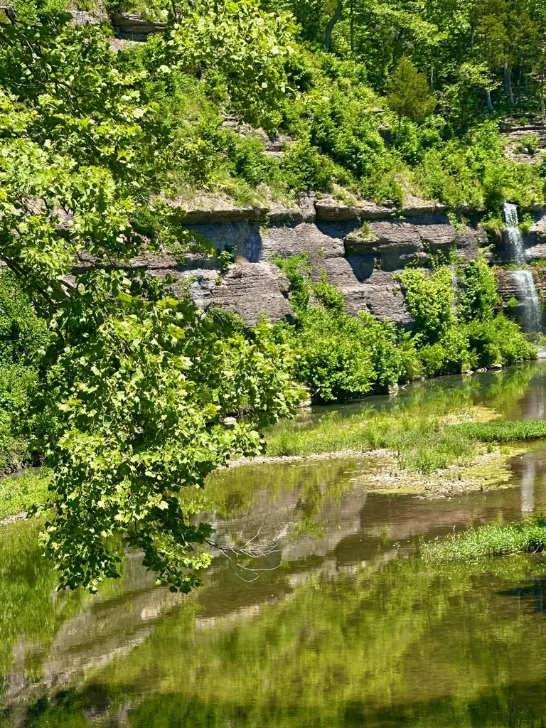 1011 Champion Hills Drive Kingston Springs TN 37082