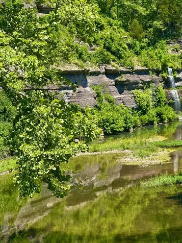 1011 Champion Hills Drive Kingston Springs TN 37082