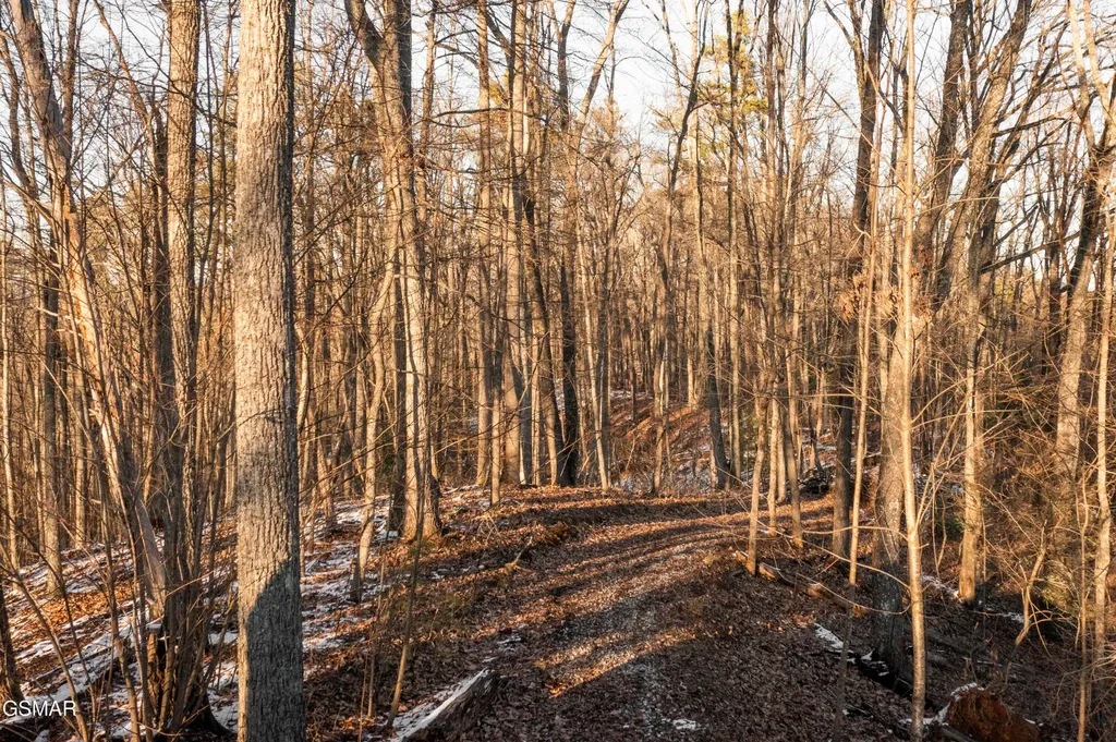 4364 Powdermill Estates Road Sevierville TN 37876