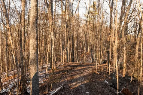 4364 Powdermill Estates Road Sevierville TN 37876