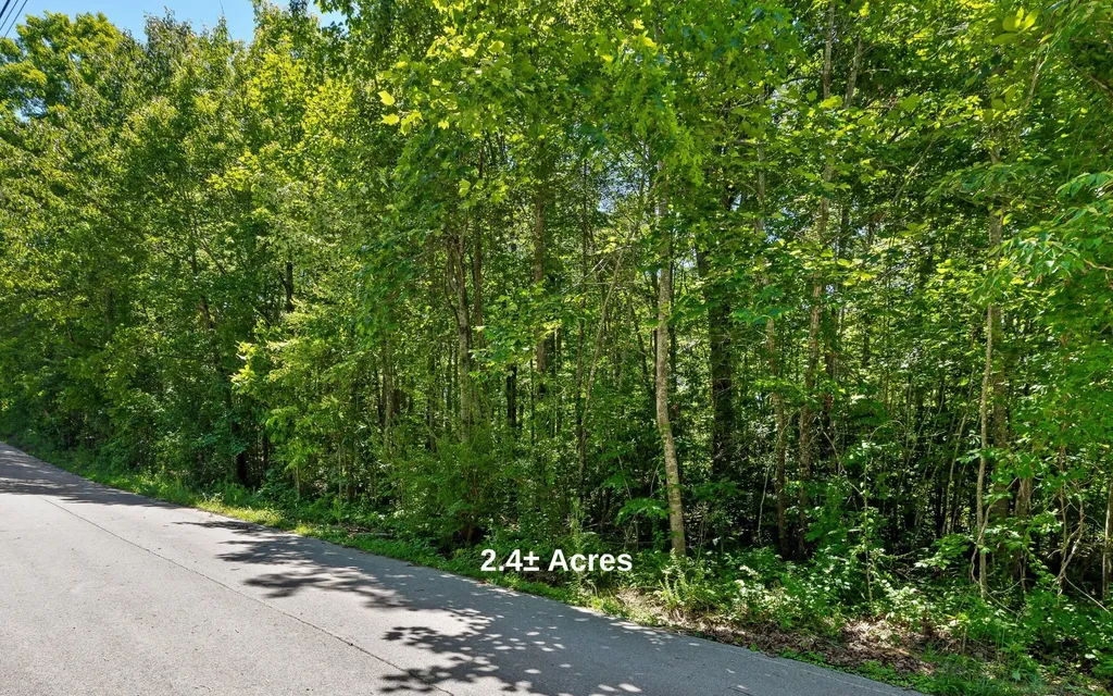 2 Holly Street Signal Mountain TN 37377