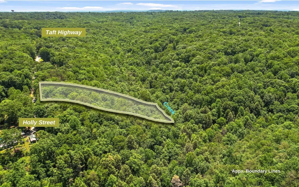 2 Holly Street Signal Mountain TN 37377