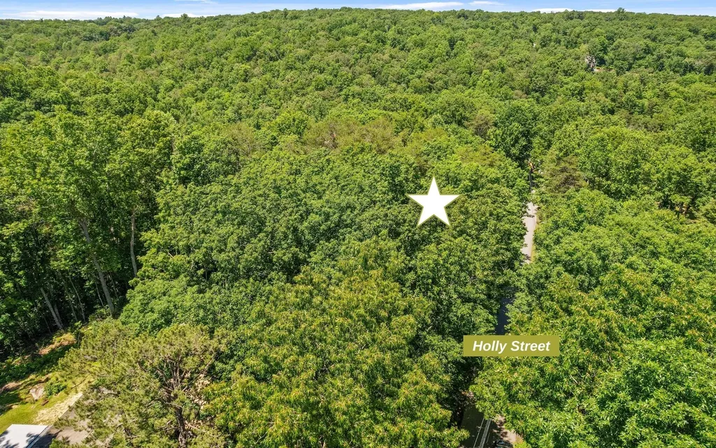 2 Holly Street Signal Mountain TN 37377
